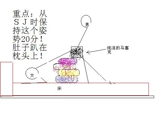 清晰图解告诉你什么是子宫前位后位，及用什么姿势最容易怀孕！