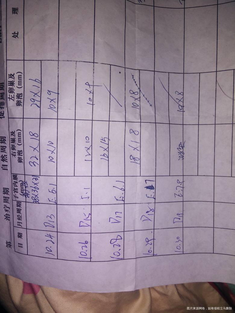 【科学备孕】你的排卵试纸用对时间了吗?