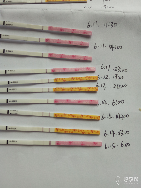 15】说说我的怀孕初期症状