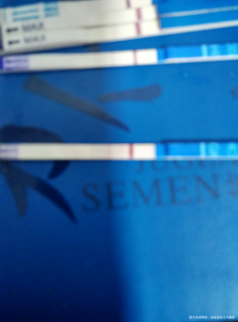 【好孕心得】备孕6个月, 终于成功啦,我的小猴宝越来越给力啦