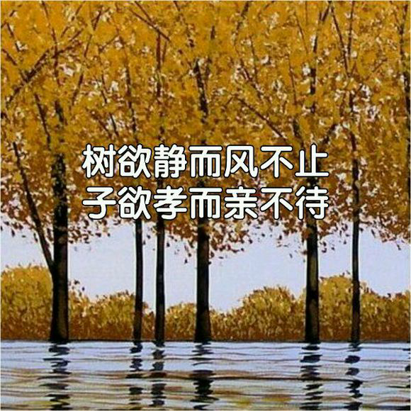 【感恩节】成长路上,感谢有你们!