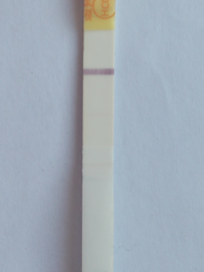 我想问问大家金秀儿早早孕试纸会不会咋胡啊？