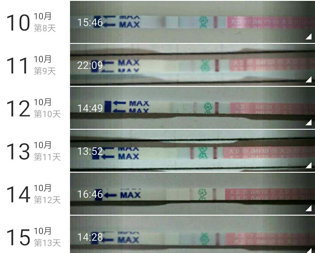 【10月备孕】奋斗在备孕路上的暇暇