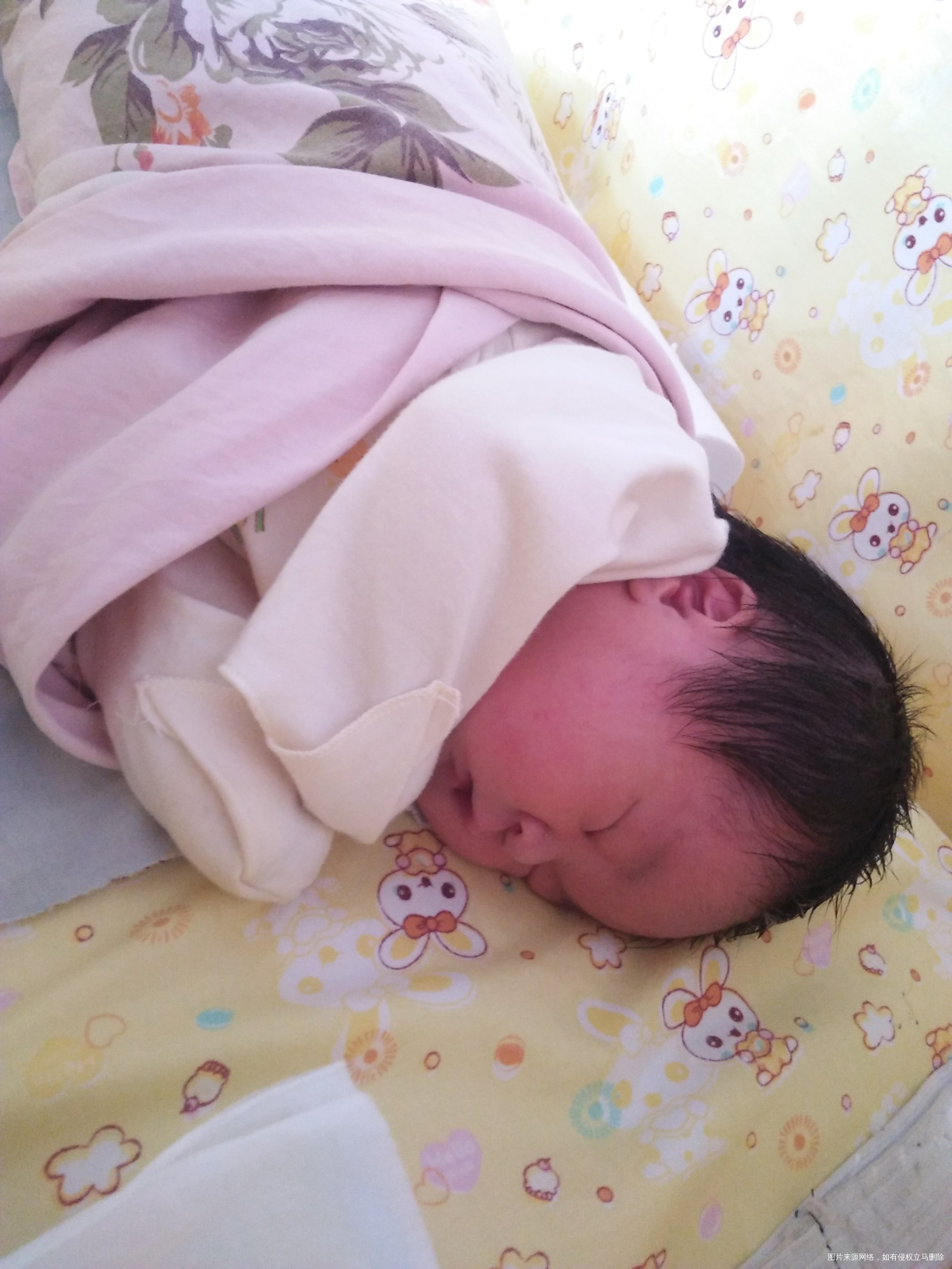 【我的辣妈经验】猴公主的成长记