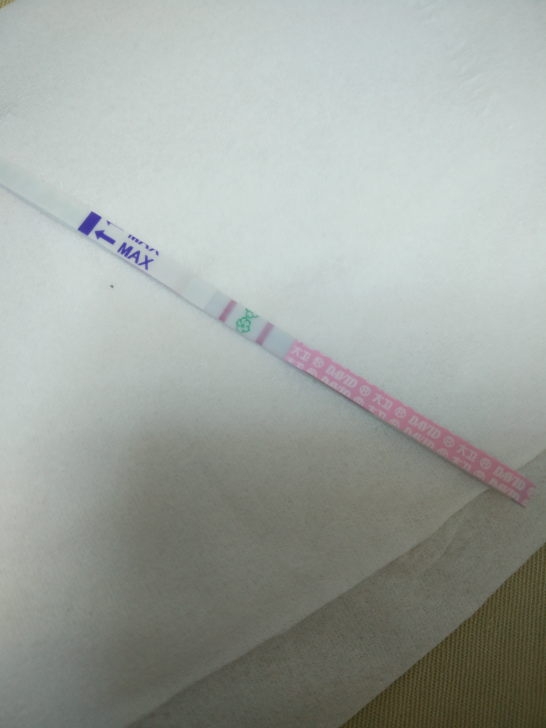 有人说怀孕排卵试纸也是强阳,是这样吗?