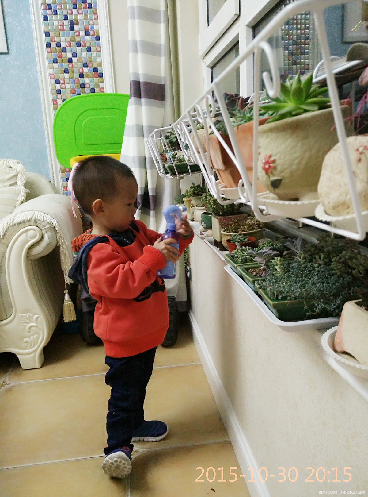 开个贴吧,记录我胎停育之后的备孕之路……