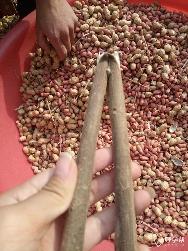 看看我们剥花生皮的神器