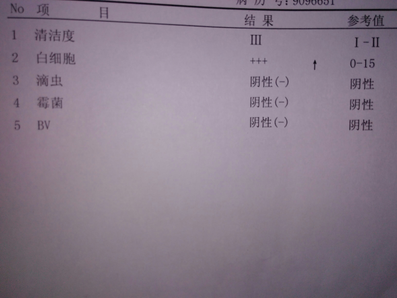 查了白带常规有没有会看的呀