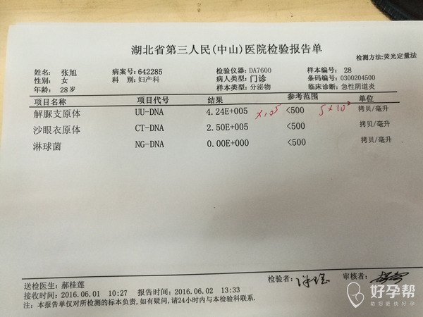 62支原体衣原体检查单