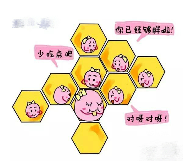 【试管知识】试管婴儿图解全过程 一看就懂……