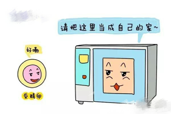 【试管知识】试管婴儿图解全过程 一看就懂……