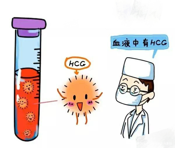 【试管知识】试管婴儿图解全过程 一看就懂……