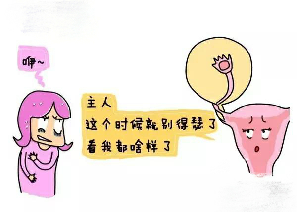 【试管知识】试管婴儿图解全过程 一看就懂……