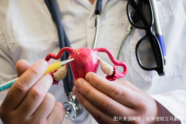 dhea吃多久做试管婴儿