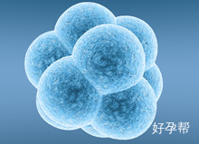济宁看不孕哪里好?真的能够成功治疗吗