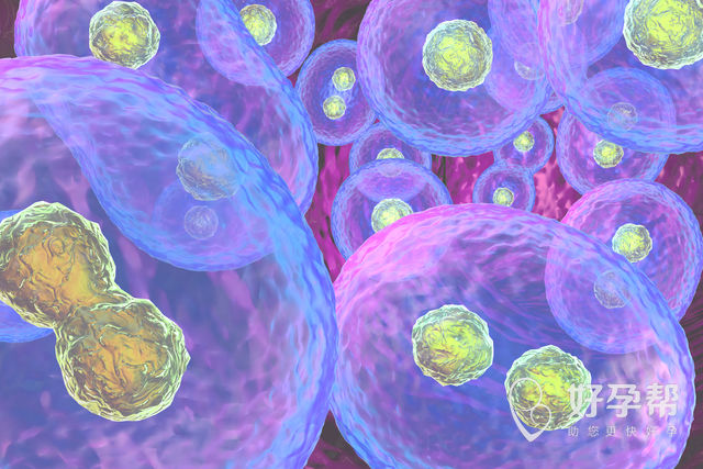 昆明看不育不孕要选哪家医院呢？什么医院专家比较多