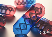 枣庄不孕不育医院哪家最好?年轻人怎么选择试管婴儿医院?