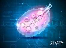 思茅不孕不育注意什么?做不孕不育前要了解什么问题?