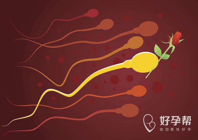 易艳红医生的专家号怎么挂？