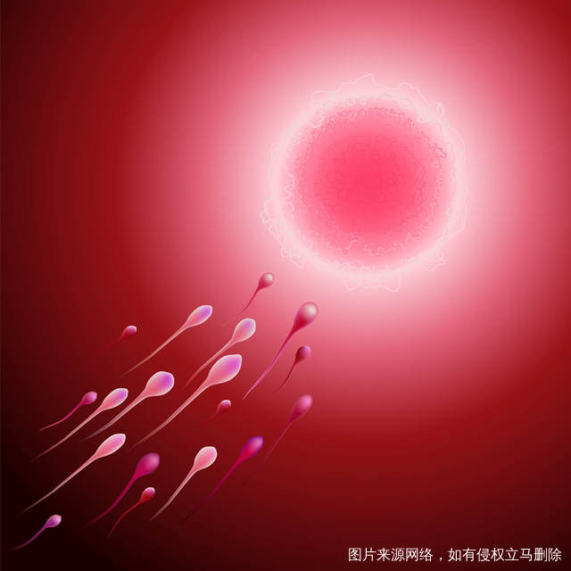 3002990610_SL