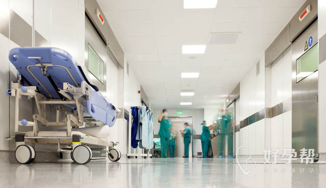 袁亦铭精索静脉曲张擅长吗？