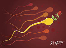 生殖疾病李豫峰和靳镭谁好一些？