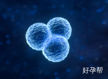 宜昌中心医院试管婴儿费用?高龄试管婴儿哪做的好?