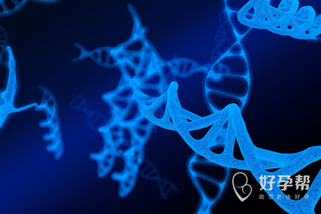 宜昌中心医院试管费用比北京高么？做几代试管费用便宜？