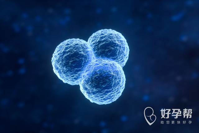 宜昌中心医院试管婴儿费用？高龄试管婴儿哪做的好？