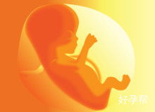 宜昌仁和医院试管婴儿多少钱?去哪里做试管费用会低?