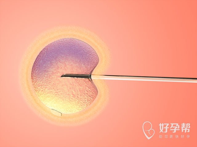 北京人工授精医院哪家好？人工授精后千万别做这些事！