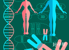 张家口能做人工授精吗?做了一定会成功吗?