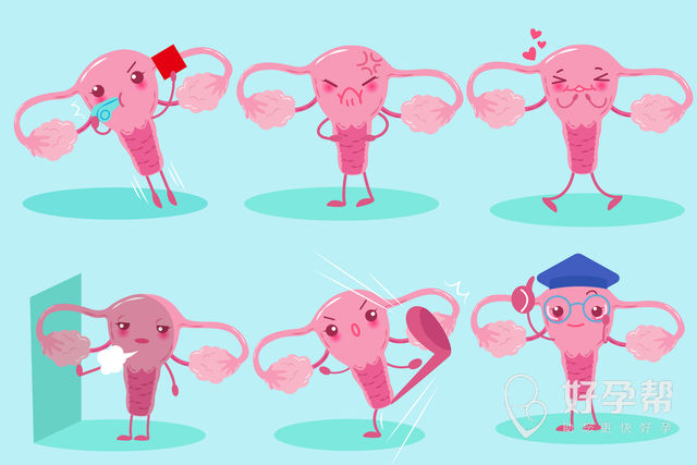 恩施哪家医院可以做人工授精？人工授精价格高吗