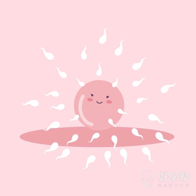 滨州人工授精医院怎么样？做人工授精轻松成功的秘籍！