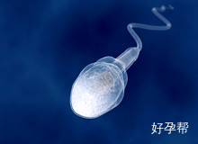 福州人工授精多少钱?术后怎么恢复更有帮助