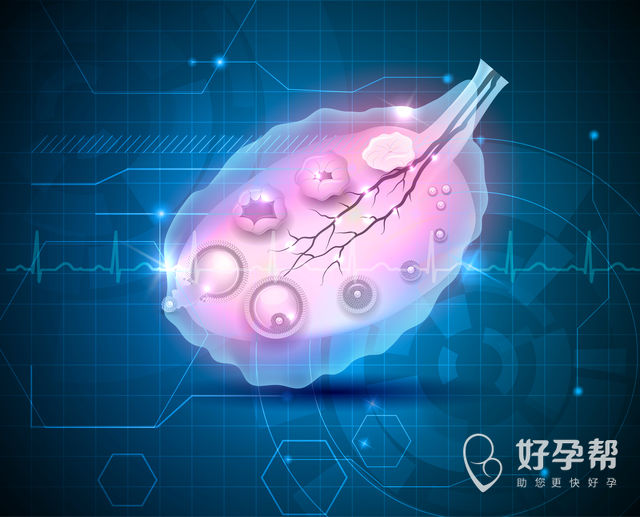 邢台人工授精的医院有哪些？想要生宝宝这些事不许做！