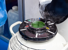 广东人工授精医院需要排队吗？周期是多久？