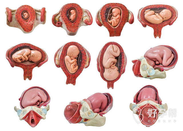 临沂人工授精的过程与费用是什么样的？哪里做手术不会损伤身体