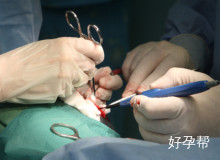 宝鸡生殖医院多少钱?什么人做试管更容易成功?