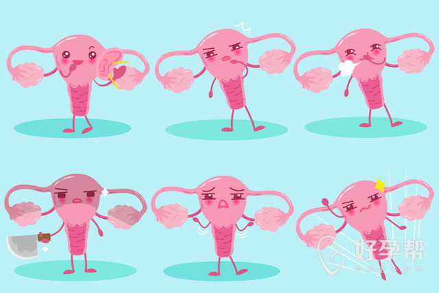 珠海人工授精过程复杂吗？都有哪些步骤