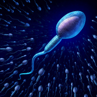 男性备孕吃什么提高精子质量？效果怎么样？