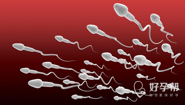 男性y精子的增加方法