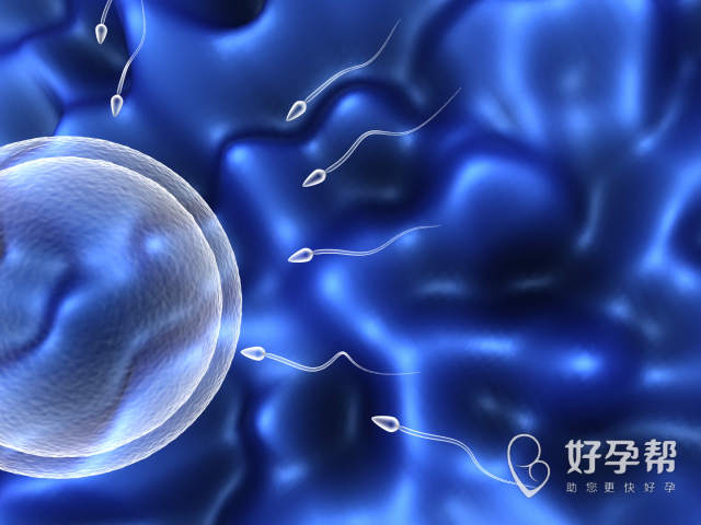 广州试管婴儿成功率最高的医院是哪家