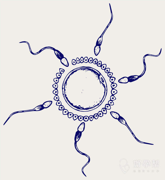 北京做试管大概费用多少钱？