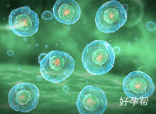 在深圳做试管婴儿要多少钱？都包含哪些内容？