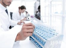 石家庄省二院试管婴儿手术成功率怎么样？