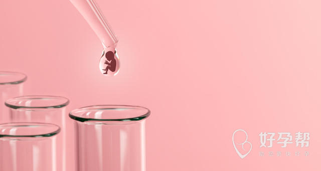 沈阳试管费用标准是多少钱？