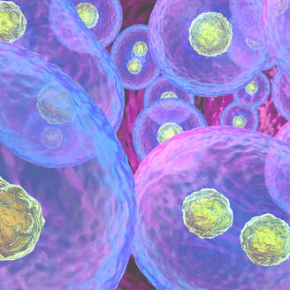 南京东部战区总医院试管婴儿成功率高不高