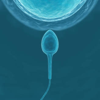 十堰市人民医院试管婴儿成功率怎么样