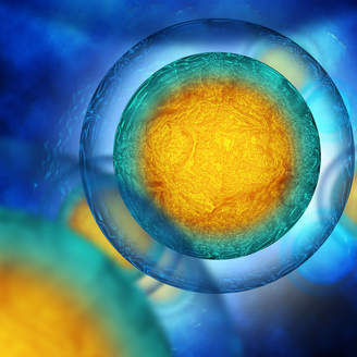 福州妇幼保健院做试管婴儿多少钱